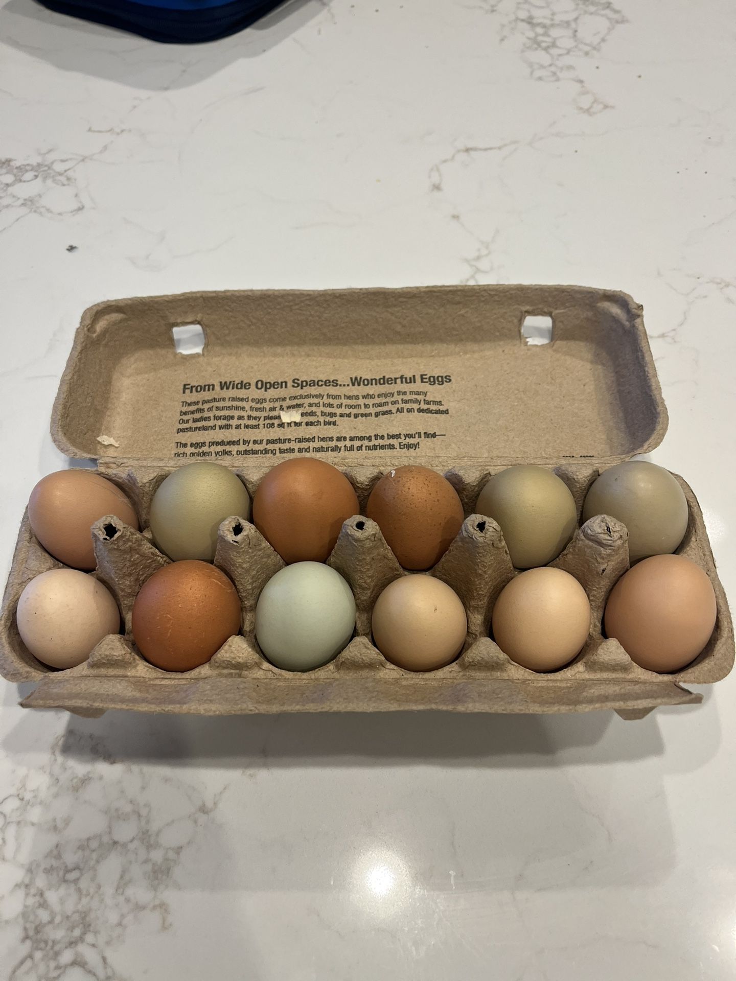 Hatching Eggs