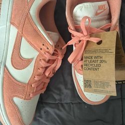 Nike Dunks Woman’s 10 