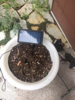 Large glow in the dark planter white during the daye day colorful at night!