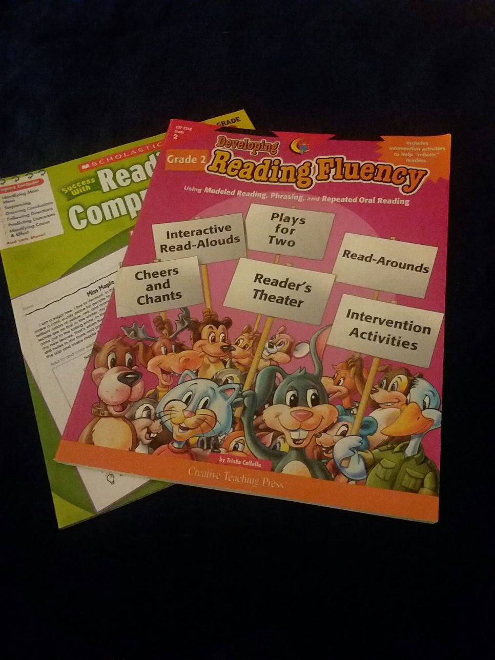 Scholastic Reading Comprehension & Reading Fluency 2nd Grade