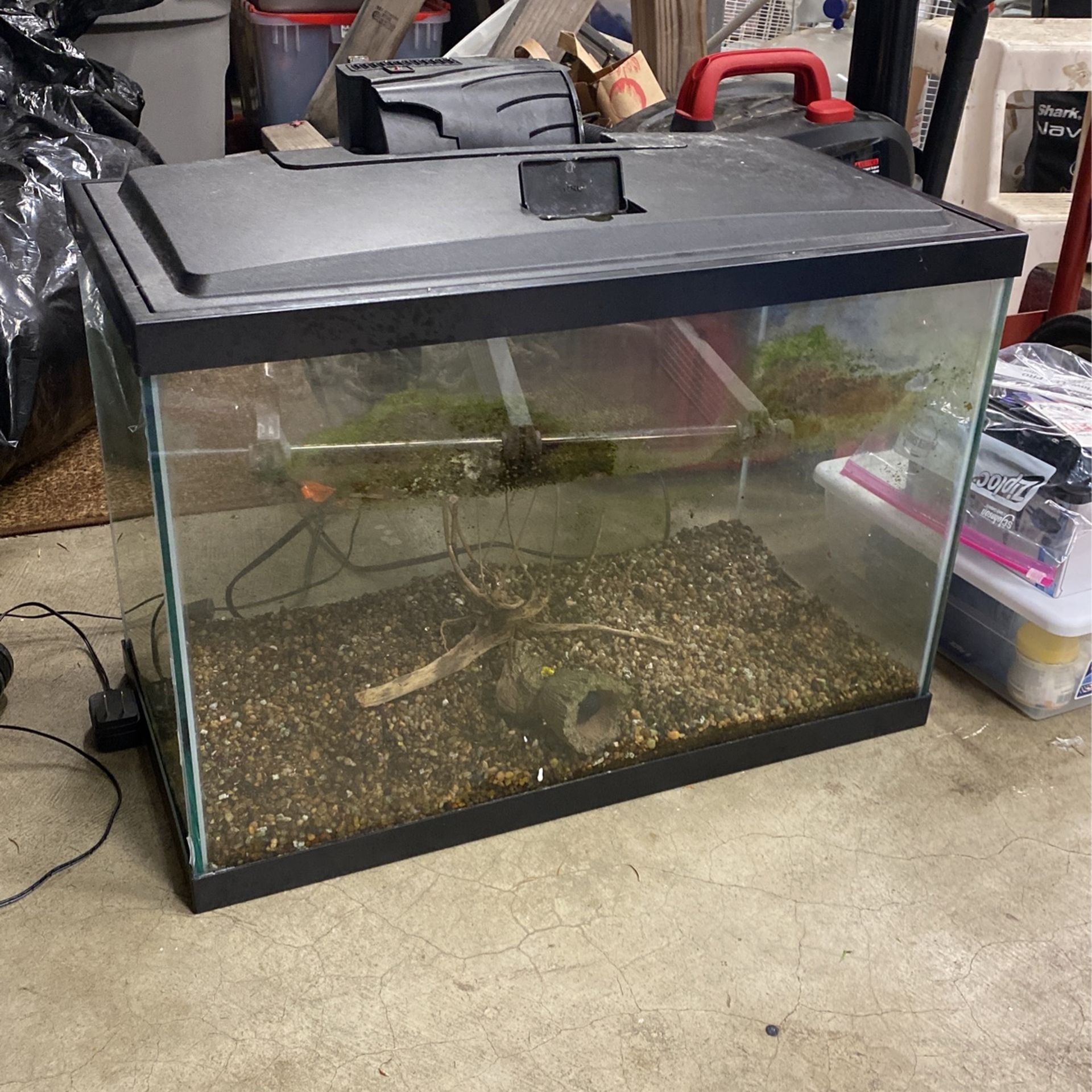 Fish Tank With Extras 