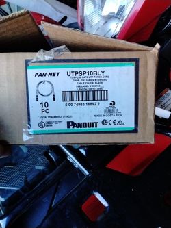Cable Cat 6      8&6 Feet 