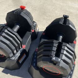 Adjustable Dumbbells Weider