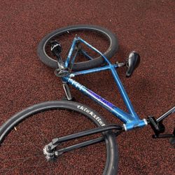 Throne 29er