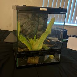 Small Terrarium 