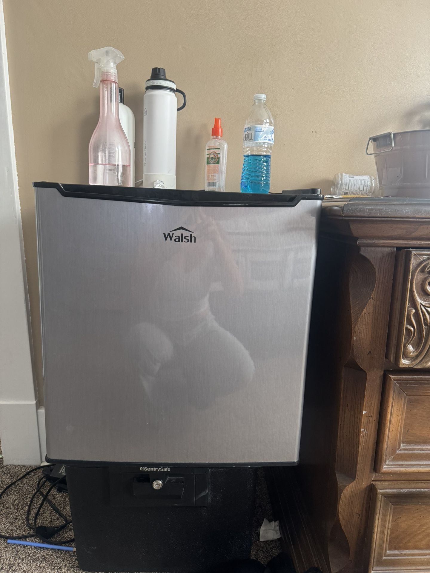 Walsh Mini fridge