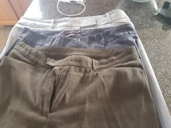 Women's dress pants
