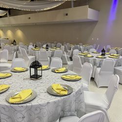 Silver Organza Overlay