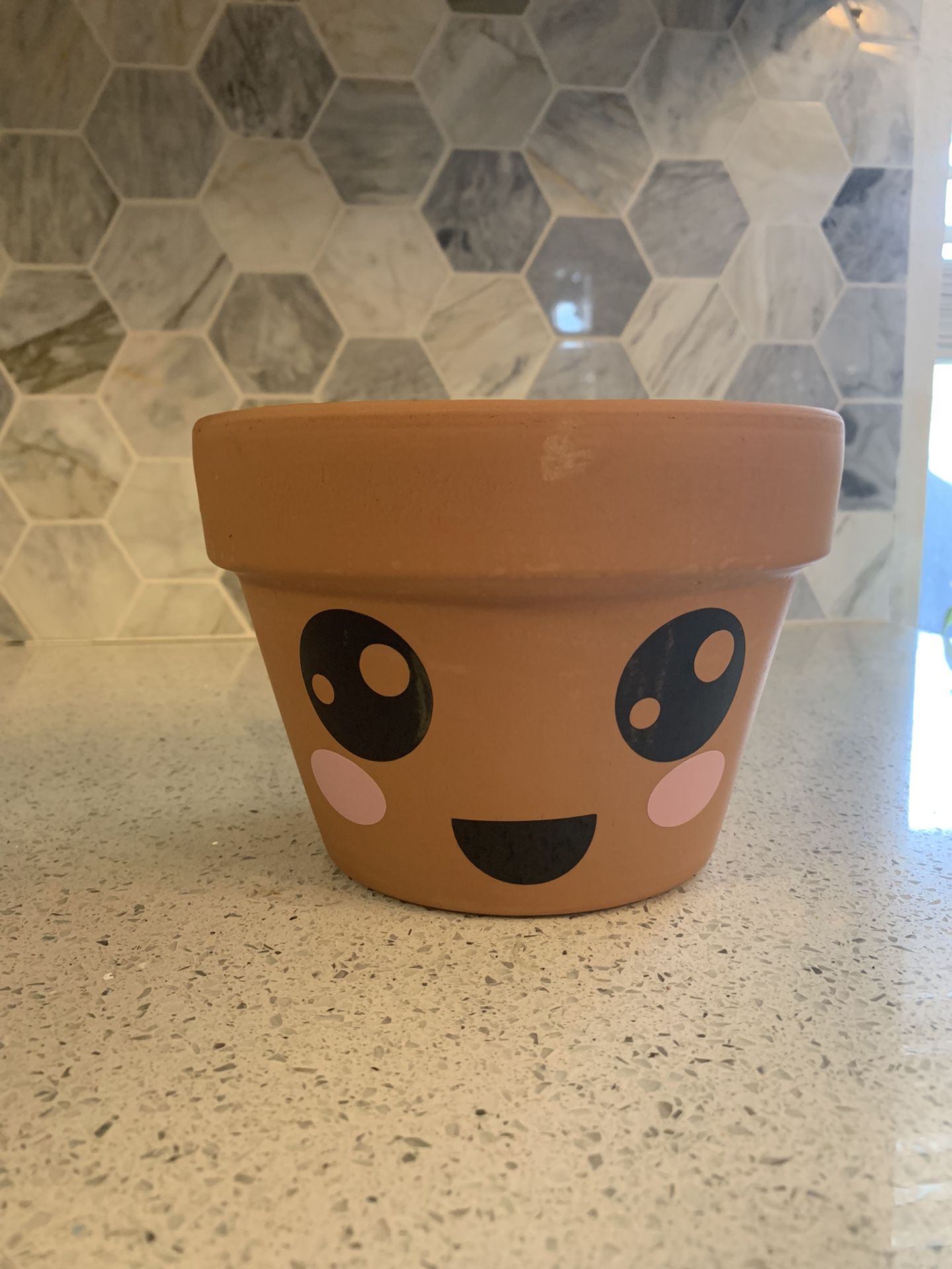 Cute Terracota Pot— Kawaii Style Face