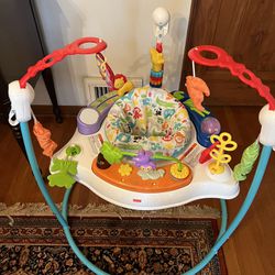 Fisher-Price Baby Bouncer Animal Activity Jumperoo 