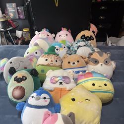 16 medium sized squishmallows