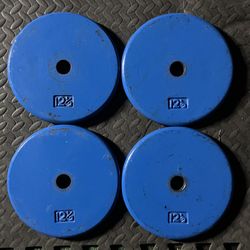 12.5 lb x4 Standard 1” weight plate set lbs weights 12.5lb 12.5lbs Cast Iron plates Flat Pancake style 