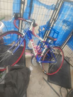 2001 1,000 alpha series treck bike I will trade or cash