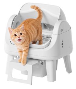 automatic cat litter box