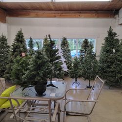 Xmas Trees $20-$150