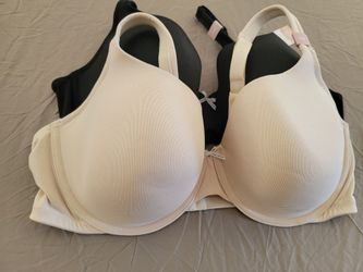 Lane Bryant Bras