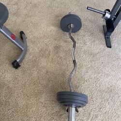 Curl bar and weights 