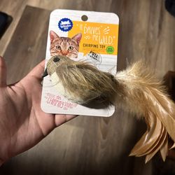 2 Cat Toys 