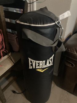 Everlast Punching Bag