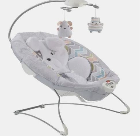 Fisher, price, sweet snug, a puppy dreams deluxe bouncer.   New in box