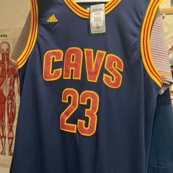 LeBron James Blue Cavs Jersey Large