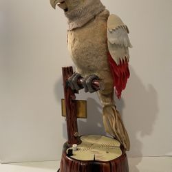 “PETE THE PARROT” VINTAGE BATTERY OP TOY