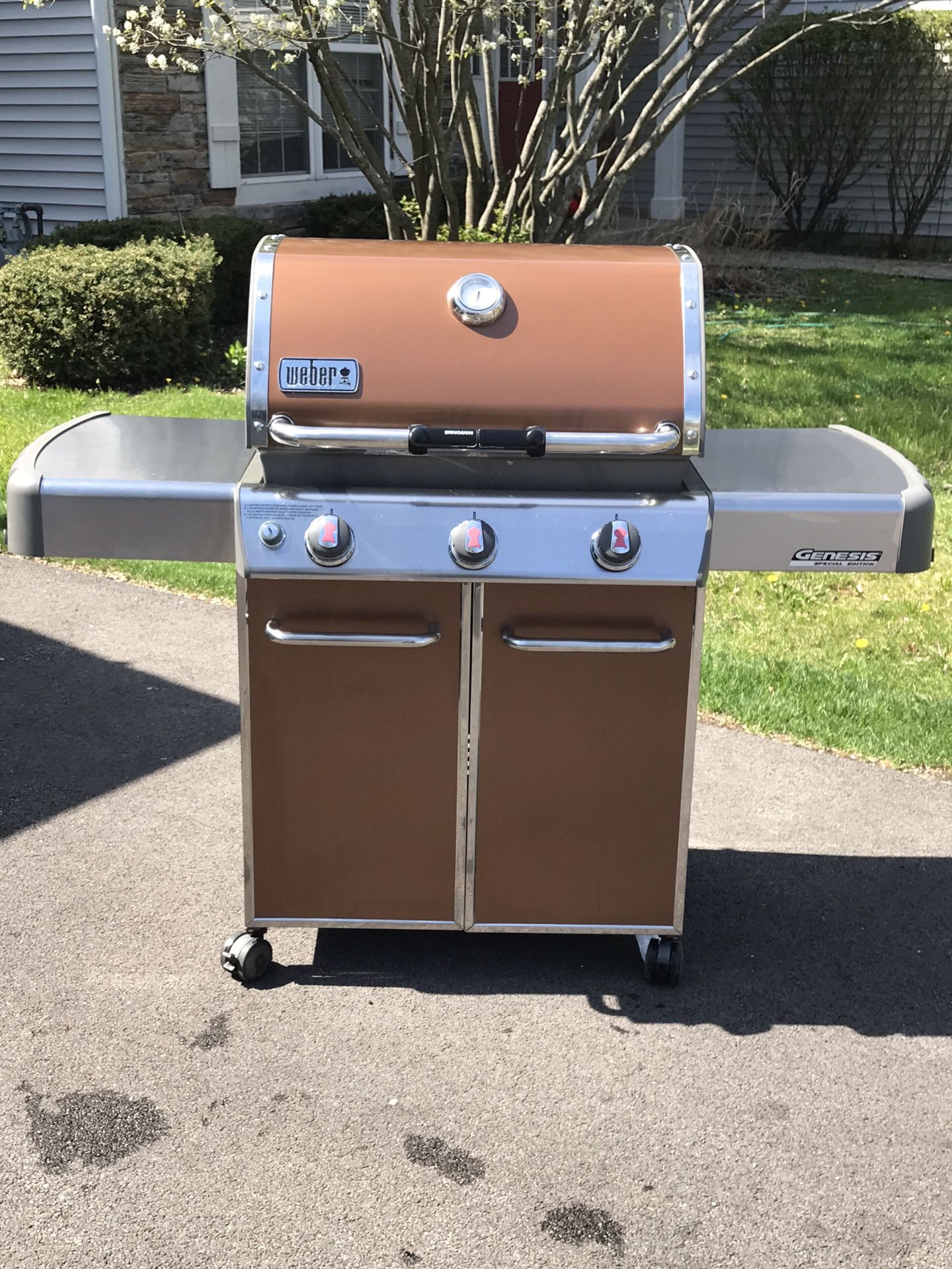 WEBER GENESIS SPECIAL EDITION Grill