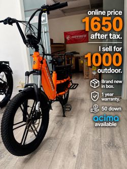 Award winning cargo electric bike for family and pets ebike