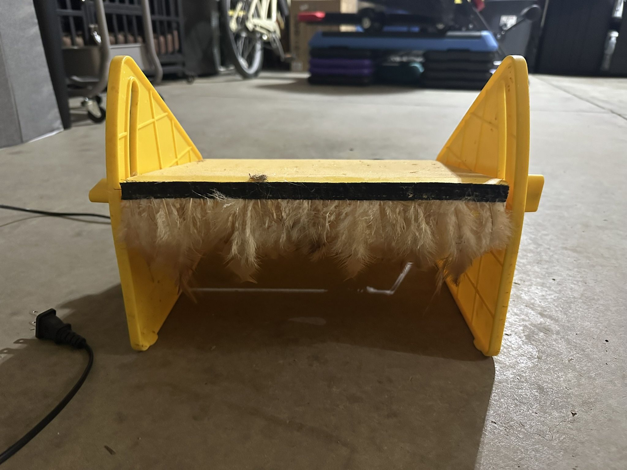 Duckling/Chick Warmer