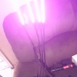 To Grow Vegetables And Plants Like