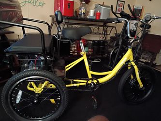 1000 watt trike custom