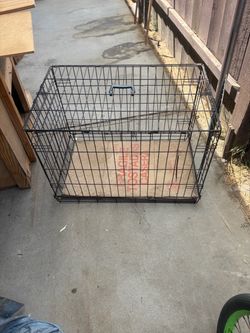 Dog house