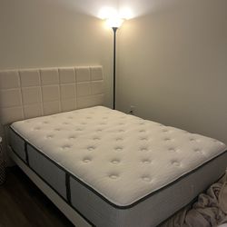 Full Size Mattress