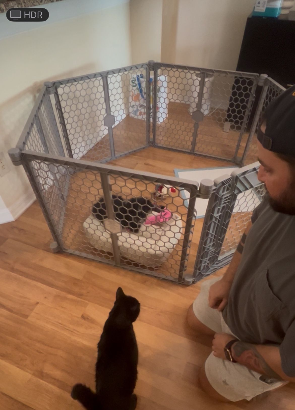 CONVERTIBLE WALK THROUGH PET GATE & PLAY PEN