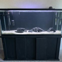 100 Gallon Aquarium +Stand