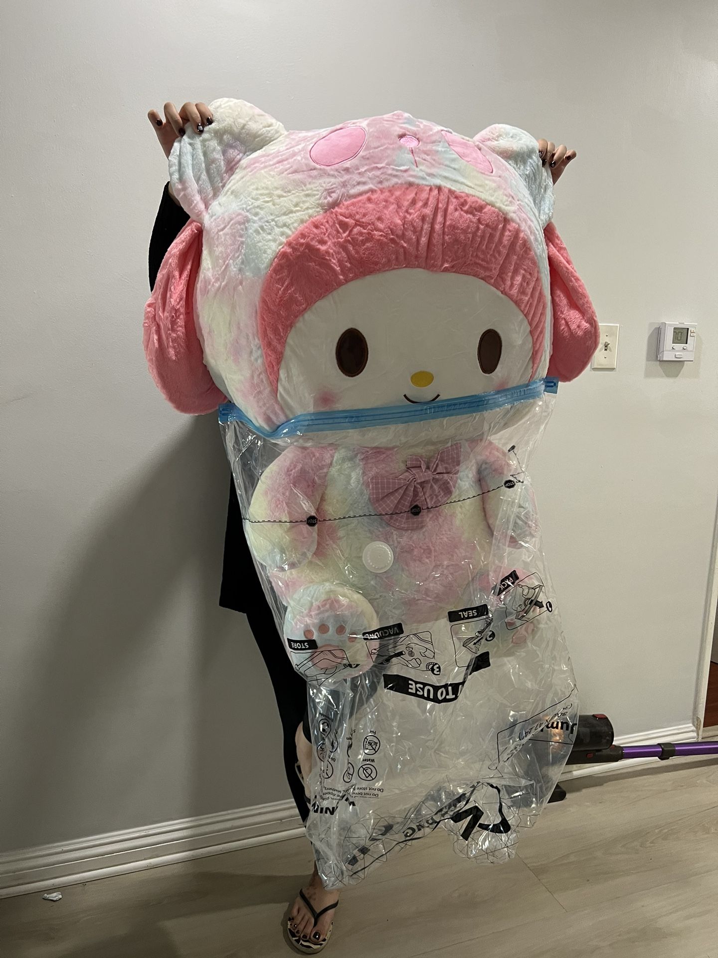 Hello Kitty Jumbo N Melody Jumbo