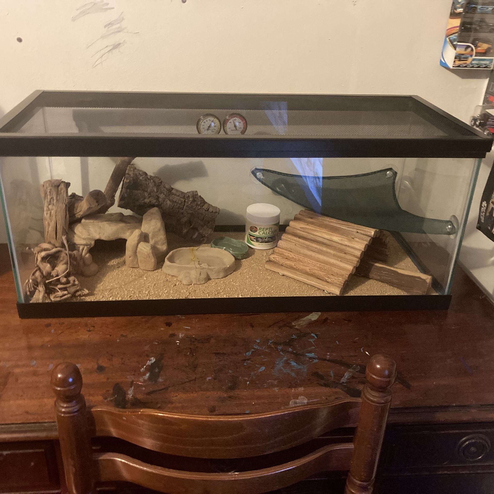 Bearded Dragon Enclosure