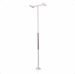 Security Pole and Grab Bar