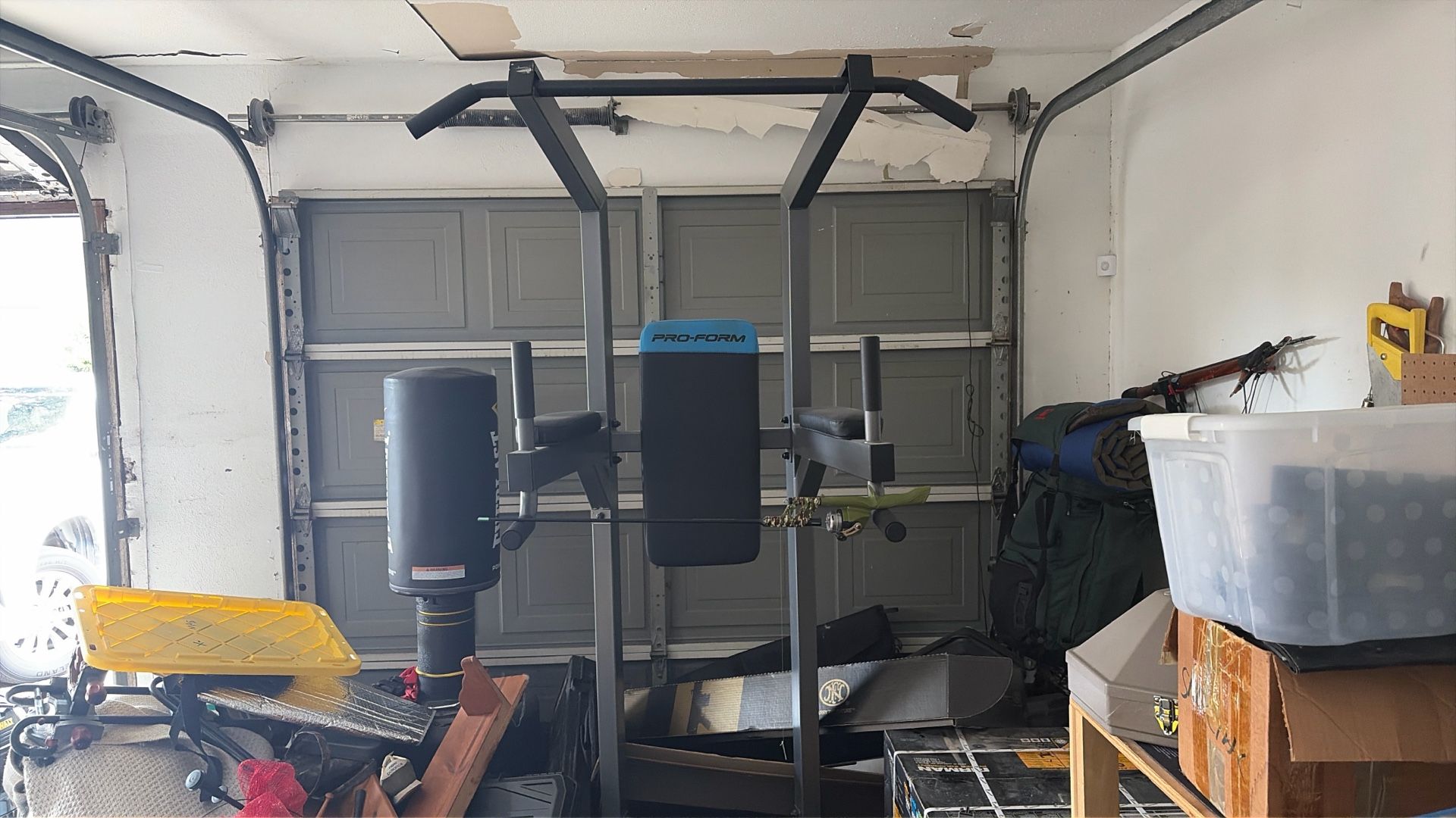 Entire Home Gym Setup - Bench, 275lbs Weights