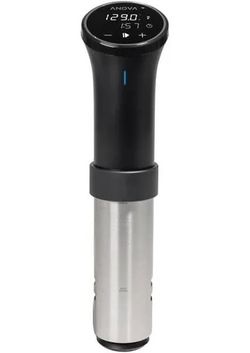 Anova Souse Vide Precision Power Cooker For Perfect Meets Chicken Fish Eggs Immersion