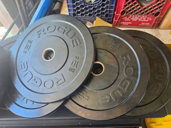 Rogue hg 2.0 bumper plates