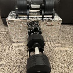 🔥SALE Adjustable Dumbbells 