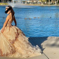 Quinceñera Dress 