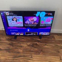 Insignia NS-40D510NA15 TV with Remote