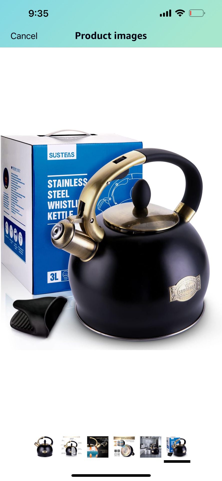 Stainless Steel Tea Kettle 