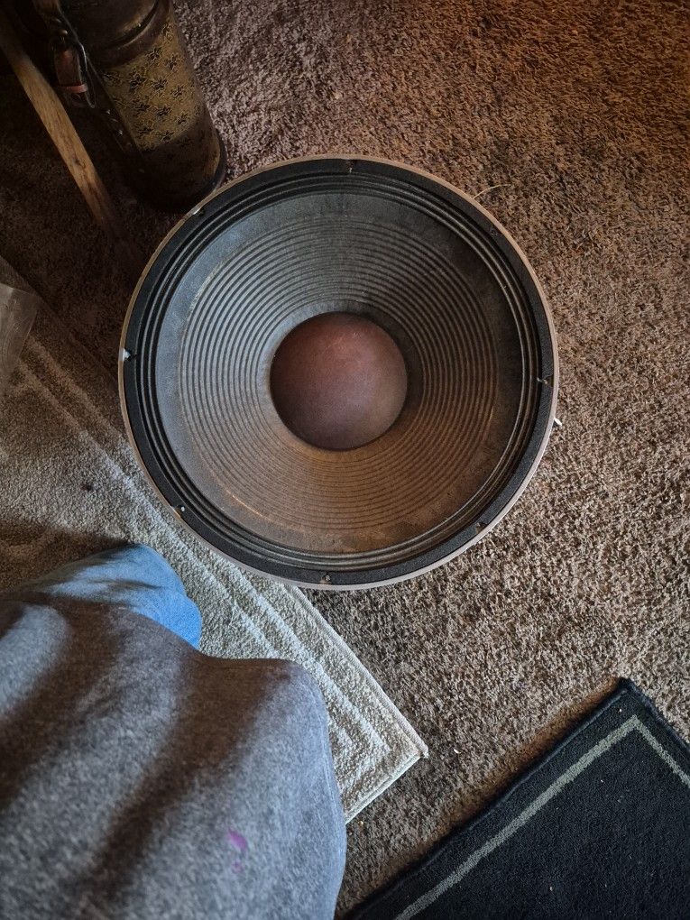 Amplifiers Studio Speaker