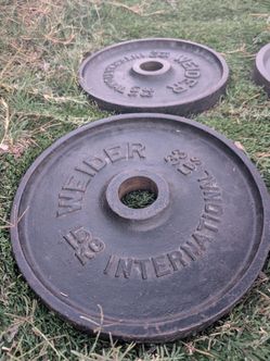 15 kg / 33 lbs Weider Olympic Weight Plates (80 OBO)