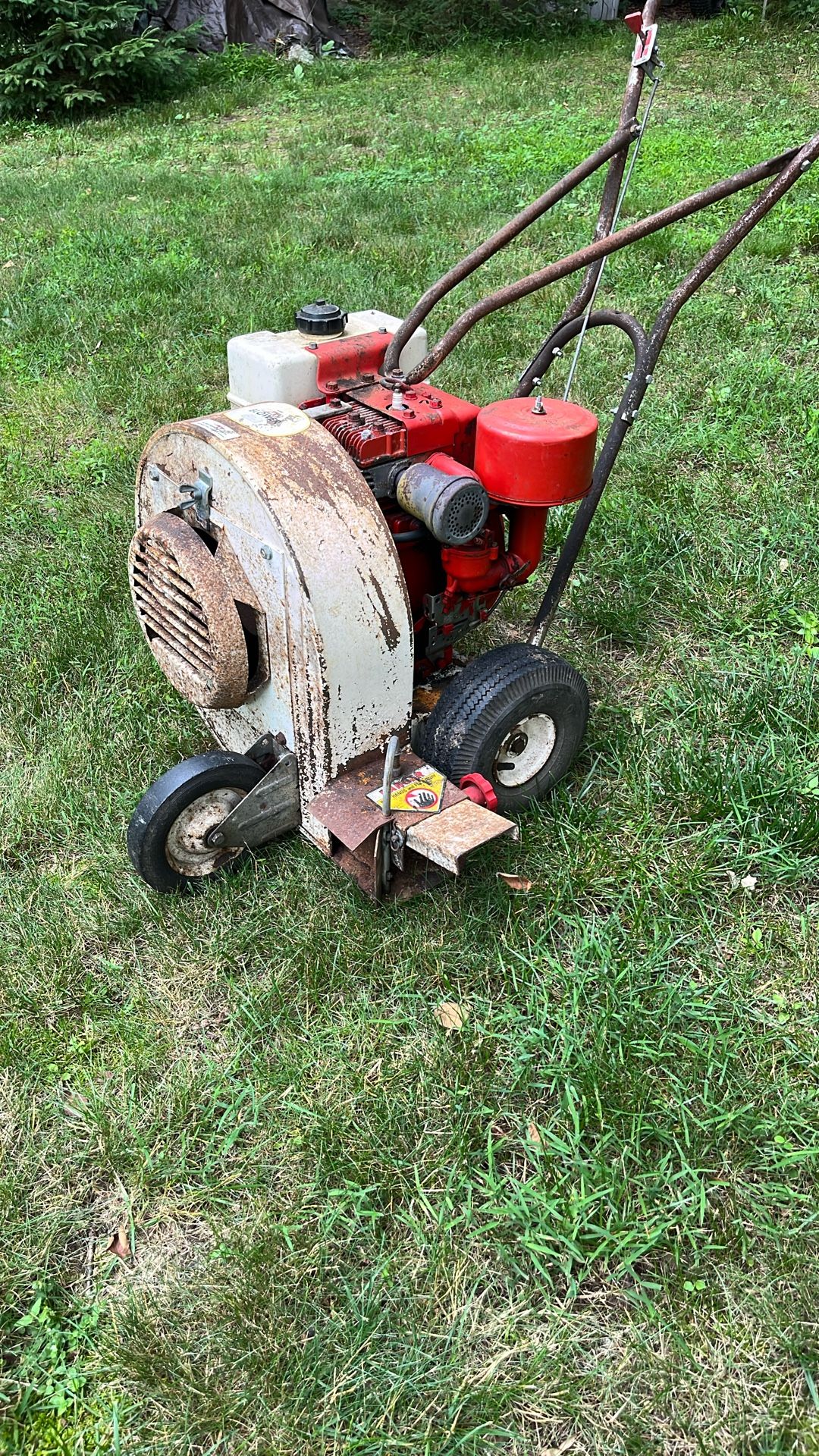 Walk Behind Leaf Blower