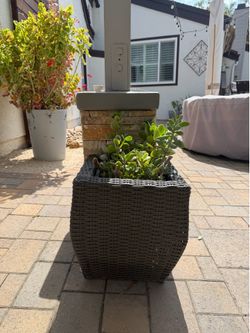 3 larger planter pots with succulents