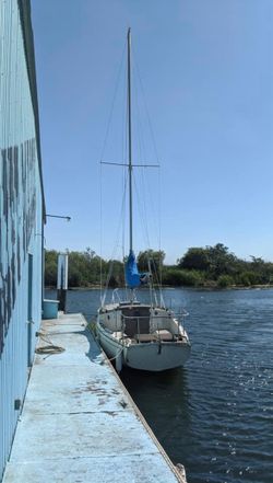 Sailboat ⛵️ Brannan Island 🏝️ Best Offer We Deliver As Well 